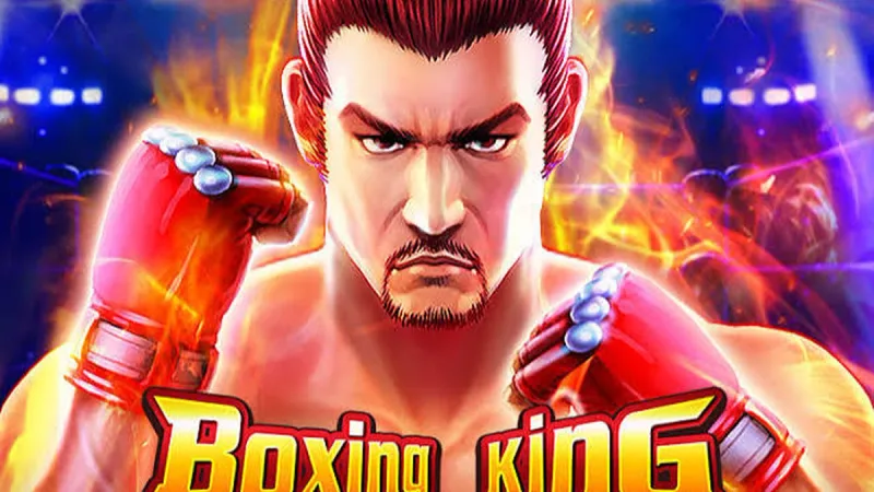999jili Boxing King slot arena showing championship belt scatters and multiplier meters